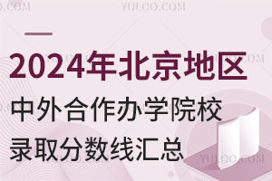 2024年北京地区中外合作办学院校录取分数线汇总