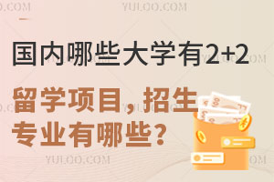 国内哪些大学有2+2留学项目，招生专业有哪些？