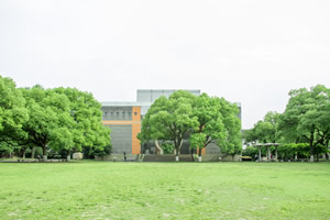 中央财经大学