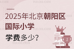 2025年北京朝阳区国际小学学费多少？