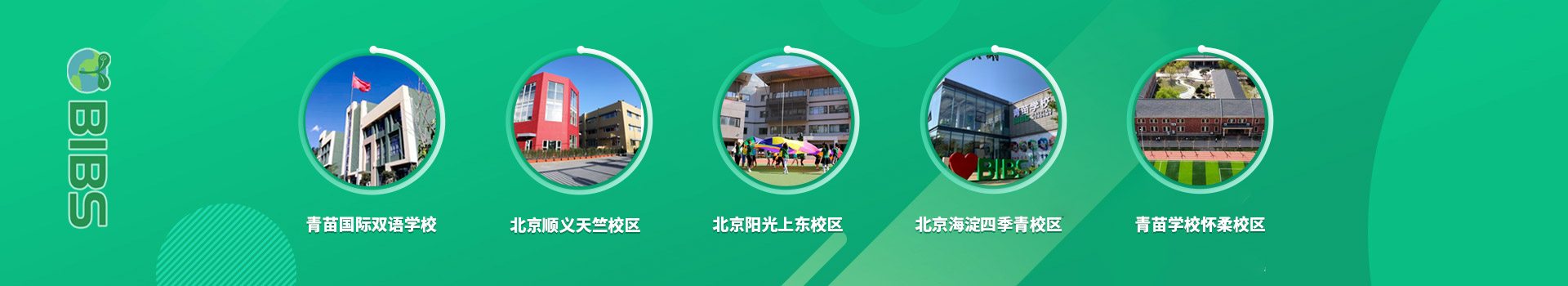 青苗国际学校招生简章