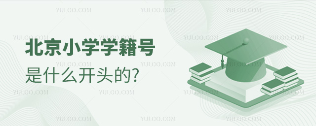 北京小学学籍号是什么开头的