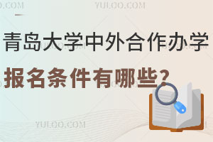 计划外中外合作办学2+2院校有哪些？