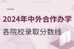 2024年中外合作办学各院校录取分数线是多少？