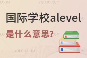 国际学校alevel是什么意思？