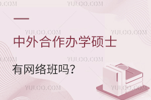 中外合作办学硕士有网络班吗？