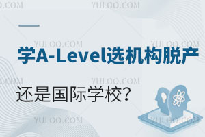 学A-Level选机构脱产还是国际学校？