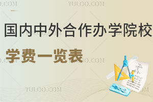 2024年国内中外合作办学院校学费一览表（含985、211大学）