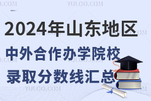 2024年山东地区中外合作办学院校录取分数线汇总