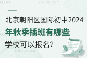 北京朝阳区国际初中2024年秋季插班有哪些学校可以报名？