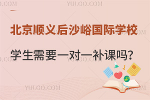 北京顺义后沙峪国际学校有需要一对一补课的学生吗？