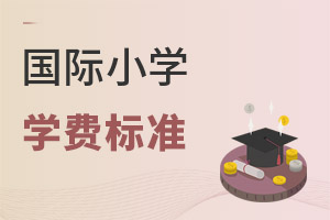 国际小学学费