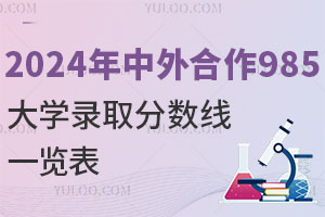 2024年中外合作985大学录取分数线一览表