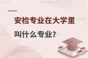 安检专业在大学里叫什么专业？