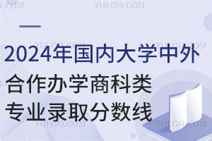 2024年国内大学中外合作办学商科类专业录取分数线