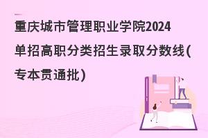 重庆城市管理职业学院2024单招高职分类招生录取分数线(专本贯通批)