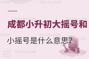 成都小升初大摇号和小摇号是什么意思？有什么区别？