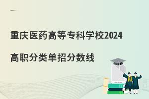 重庆医药高等专科学校2024高职分类单招分数线