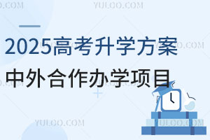 [2025高考升学方案]中外合作办学项目:1+3、2+2、3+2、4+0有哪些区别？